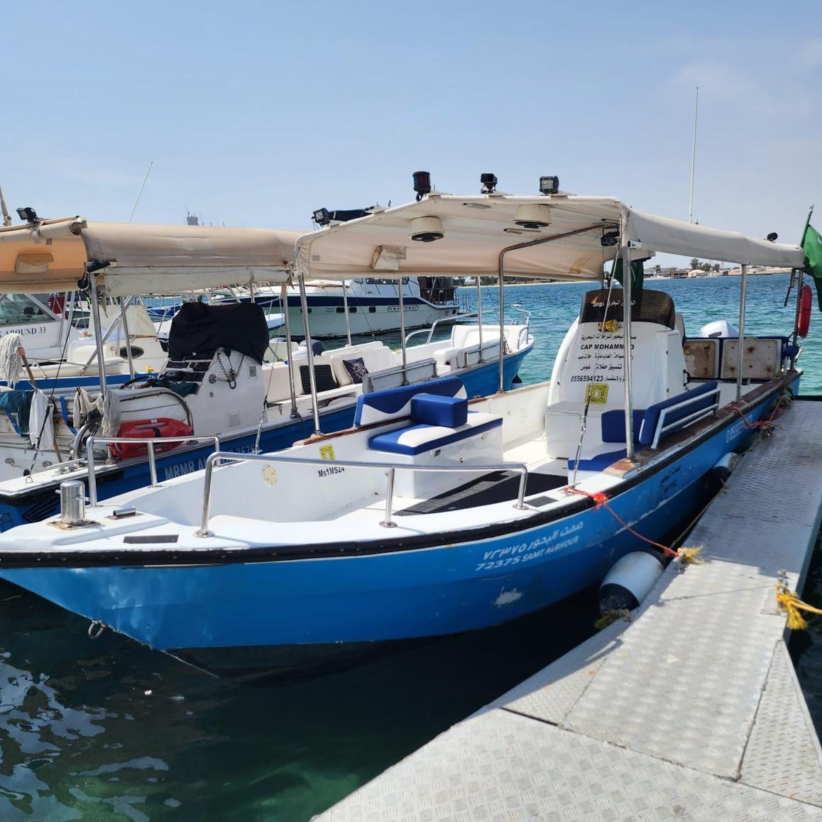 صورة المنتج