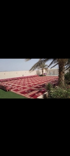 صورة 1 من 1