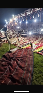 صورة 1 من 1
