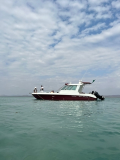 صورة 2 من 4