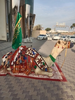 صورة 1 من 1