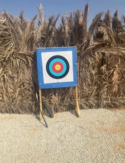 صورة 1 من 1