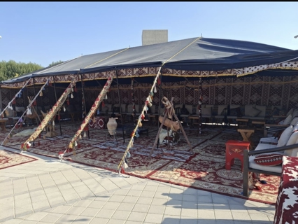 صورة 1 من 1