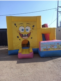 صورة 1 من 1
