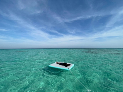 صورة 3 من 5