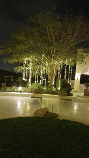 صورة 1 من 1