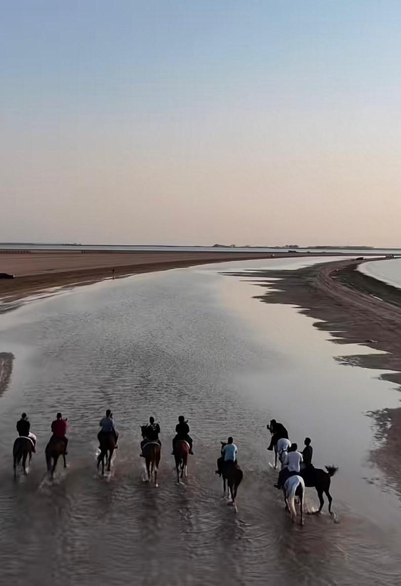 صورة المنتج