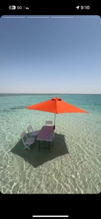 صورة 3 من 4