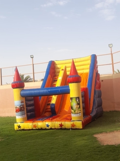 صورة 1 من 1