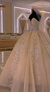 صورة 1 من 1