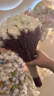 صورة 1 من 3
