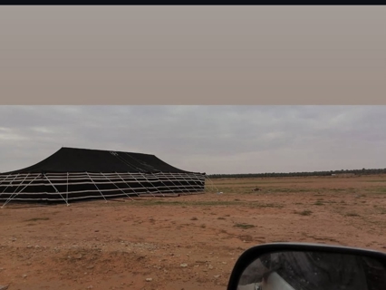 صورة 1 من 1