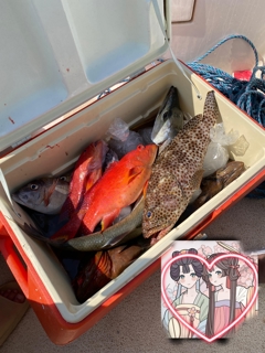 صورة 1 من 5