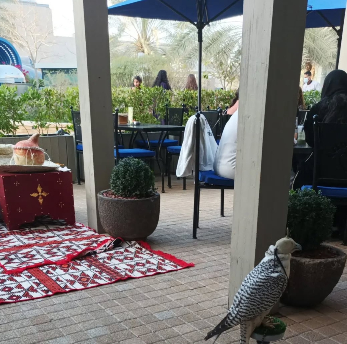 صورة المنتج
