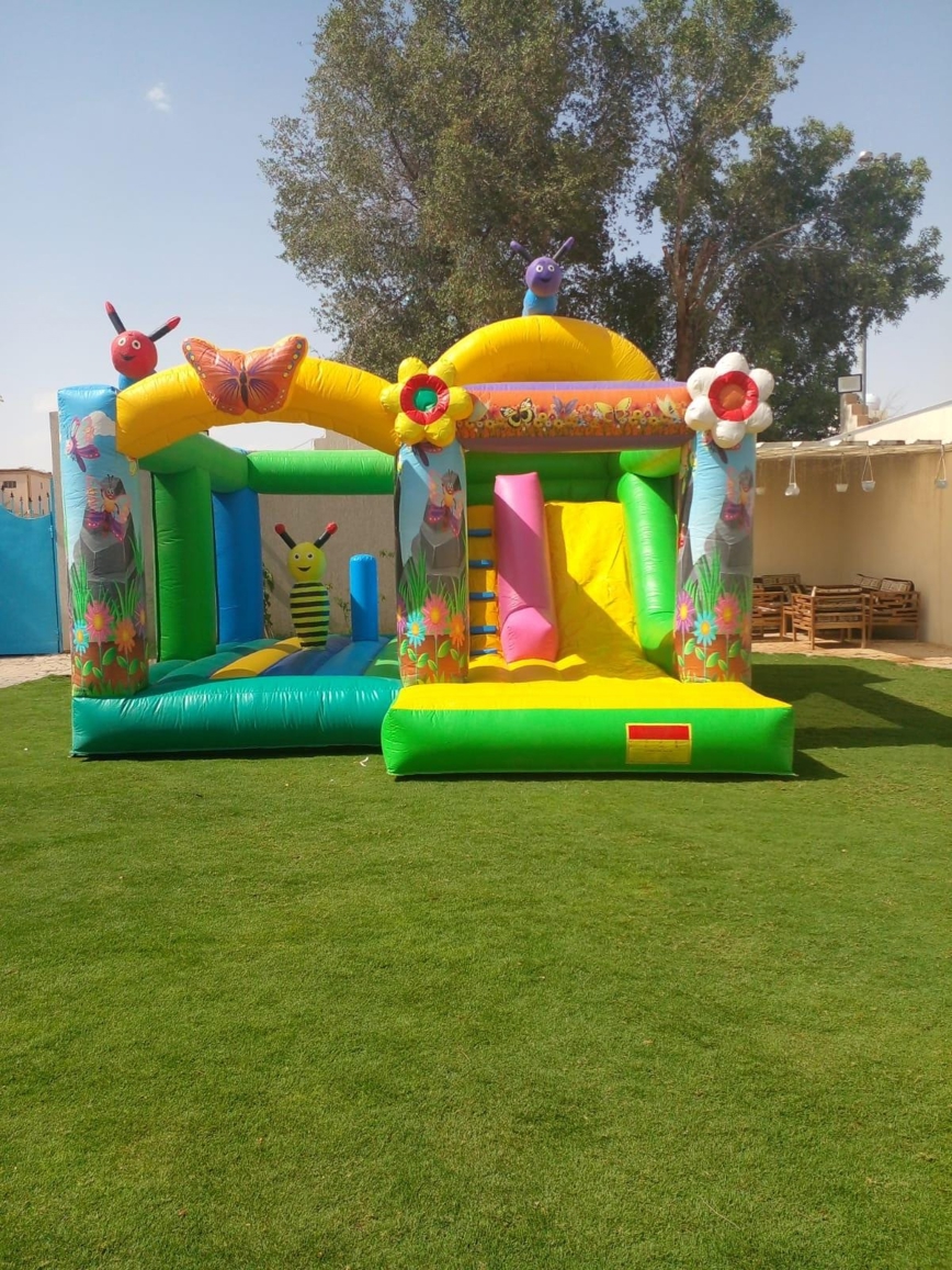 صورة المنتج