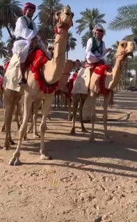 صورة 1 من 1
