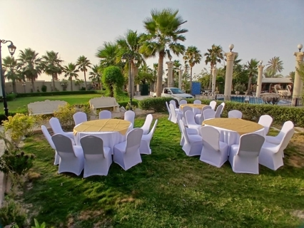 صورة 1 من 1