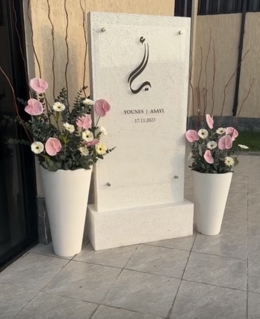 صورة 1 من 1