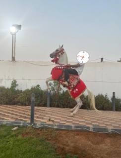صورة 1 من 1