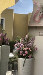 صورة 1 من 1