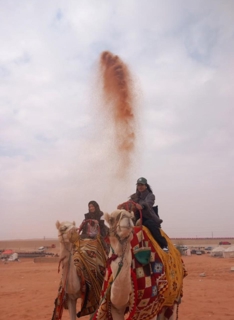 صورة 1 من 1