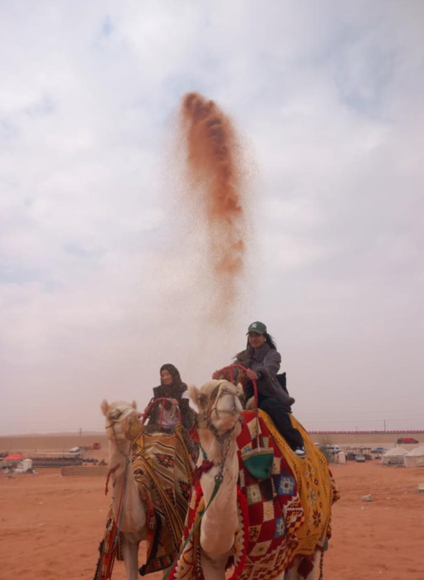 صورة المنتج