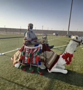 صورة 1 من 1
