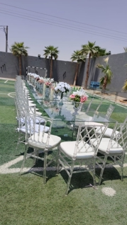 صورة 1 من 1