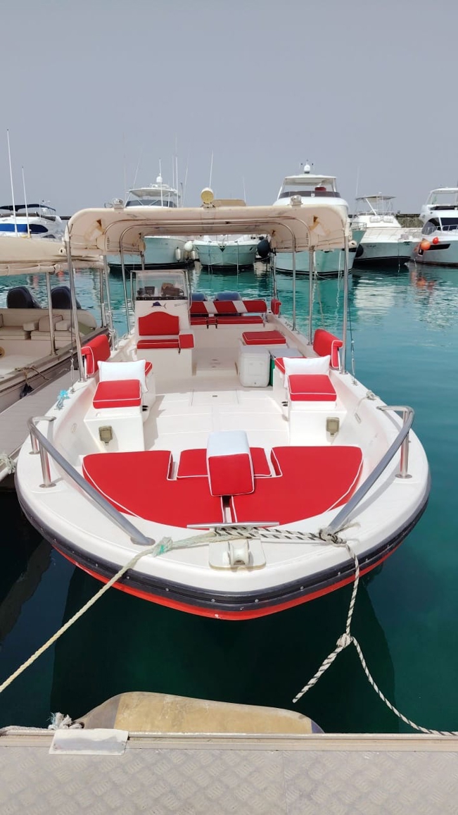 صورة المنتج