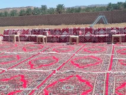صورة 1 من 1