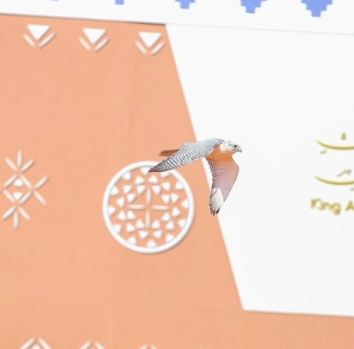 صورة 1 من 1