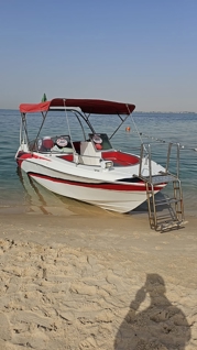 صورة 1 من 4