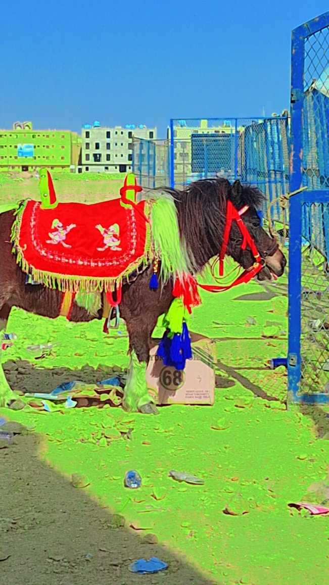 صورة المنتج