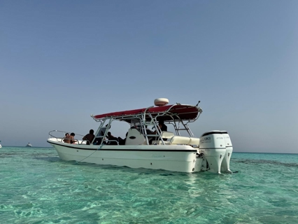 صورة 1 من 1