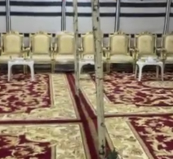 صورة 1 من 1