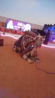 صورة 1 من 1