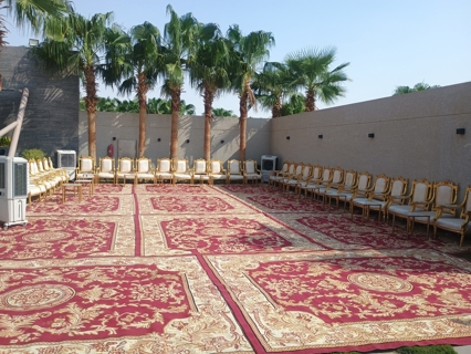 صورة 2 من 2