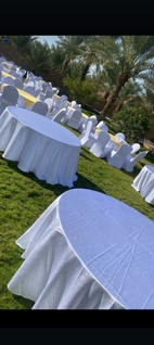 صورة 1 من 1