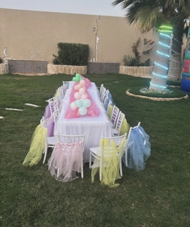 صورة 1 من 1