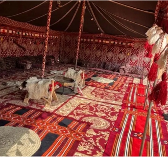 صورة 1 من 1