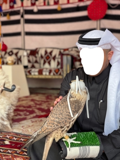 صورة 1 من 1
