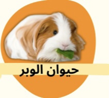 صورة 1 من 1