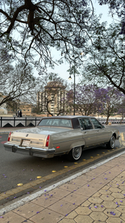 صورة 3 من 4