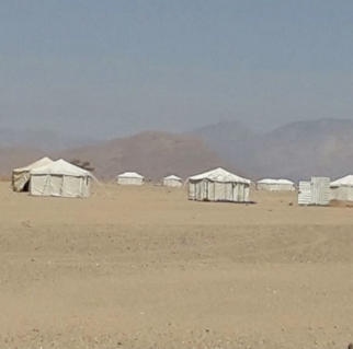 صورة 1 من 1
