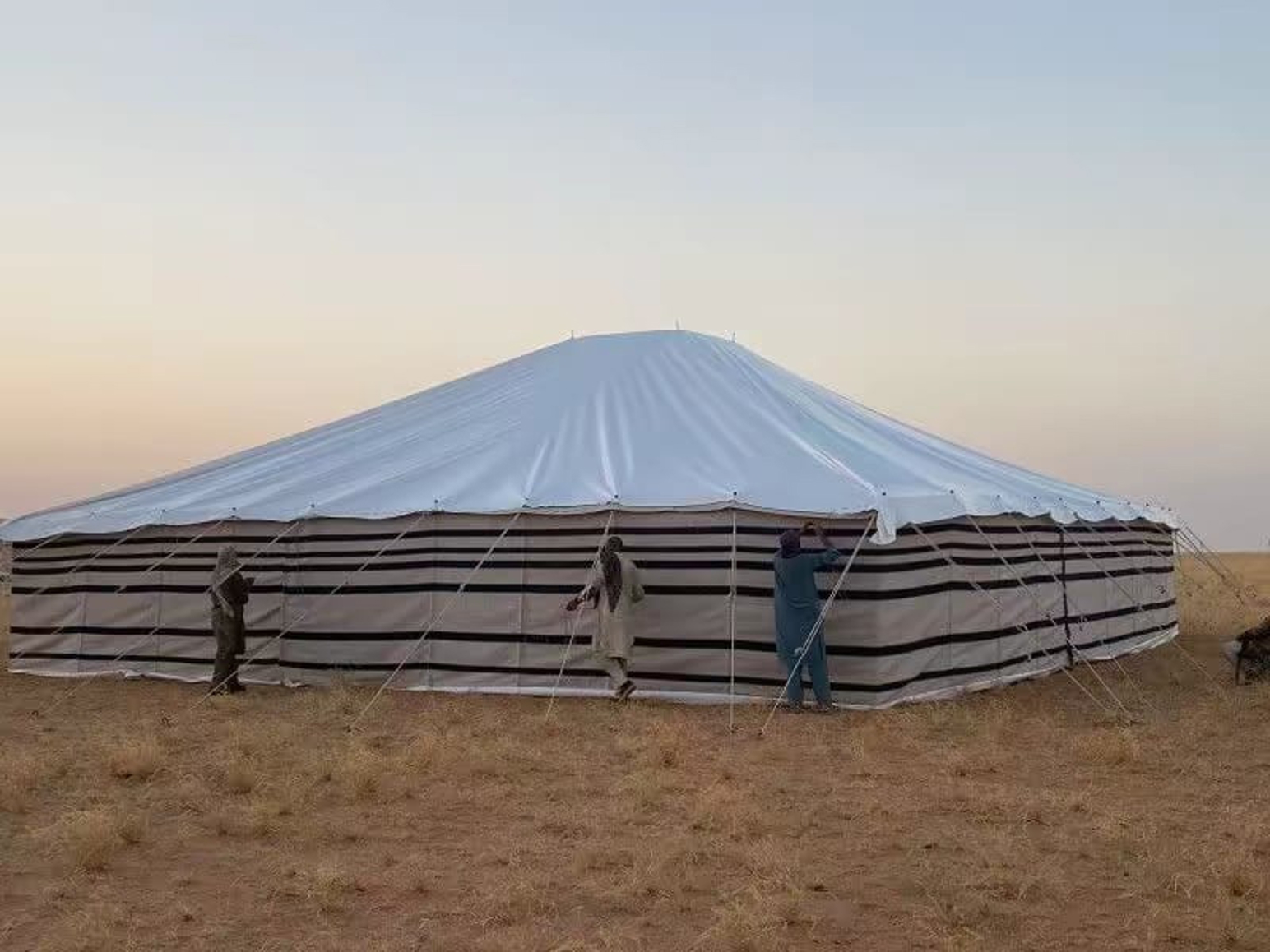 صورة المنتج