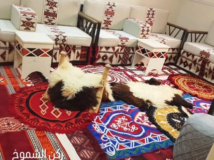 صورة 1 من 1
