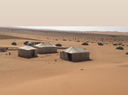 صورة 1 من 1