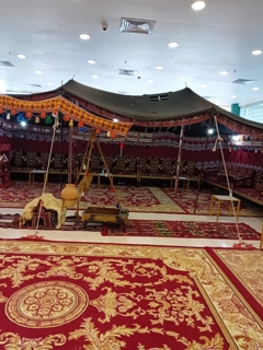 صورة 1 من 1