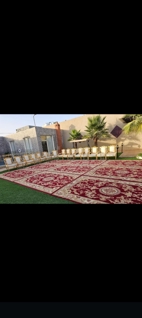صورة 1 من 1