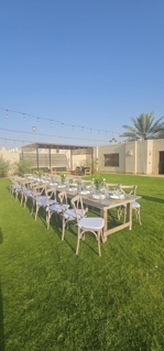 صورة 1 من 1